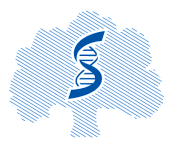 Первый Московский государственный медицинский университет имени  И.М. Сеченова